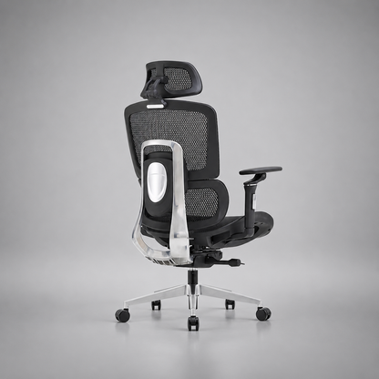 Chaise ergonomique HZ-2510