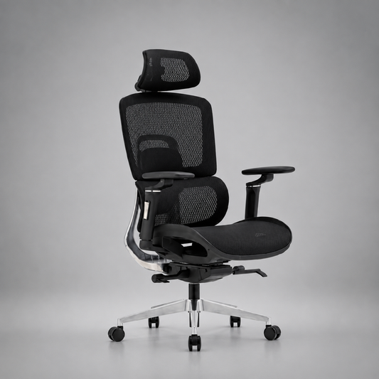 Chaise ergonomique HZ-2510