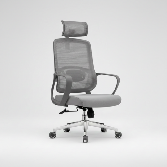 Chaise ergonomique HZ-2501