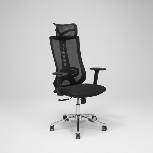 Chaise ergonomique valence